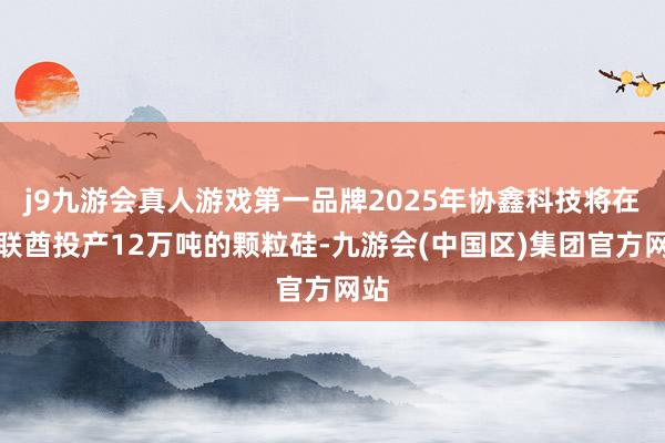 j9九游会真人游戏第一品牌2025年协鑫科技将在阿联酋投产12万吨的颗粒硅-九游会(中国区)集团官方网站