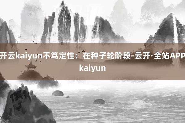 开云kaiyun不笃定性：在种子轮阶段-云开·全站APPkaiyun