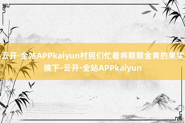 云开·全站APPkaiyun村民们忙着将颗颗金黄的果实摘下-云开·全站APPkaiyun