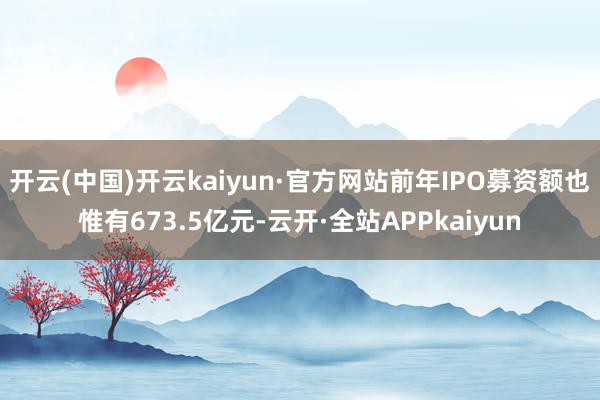 开云(中国)开云kaiyun·官方网站前年IPO募资额也惟有673.5亿元-云开·全站APPkaiyun